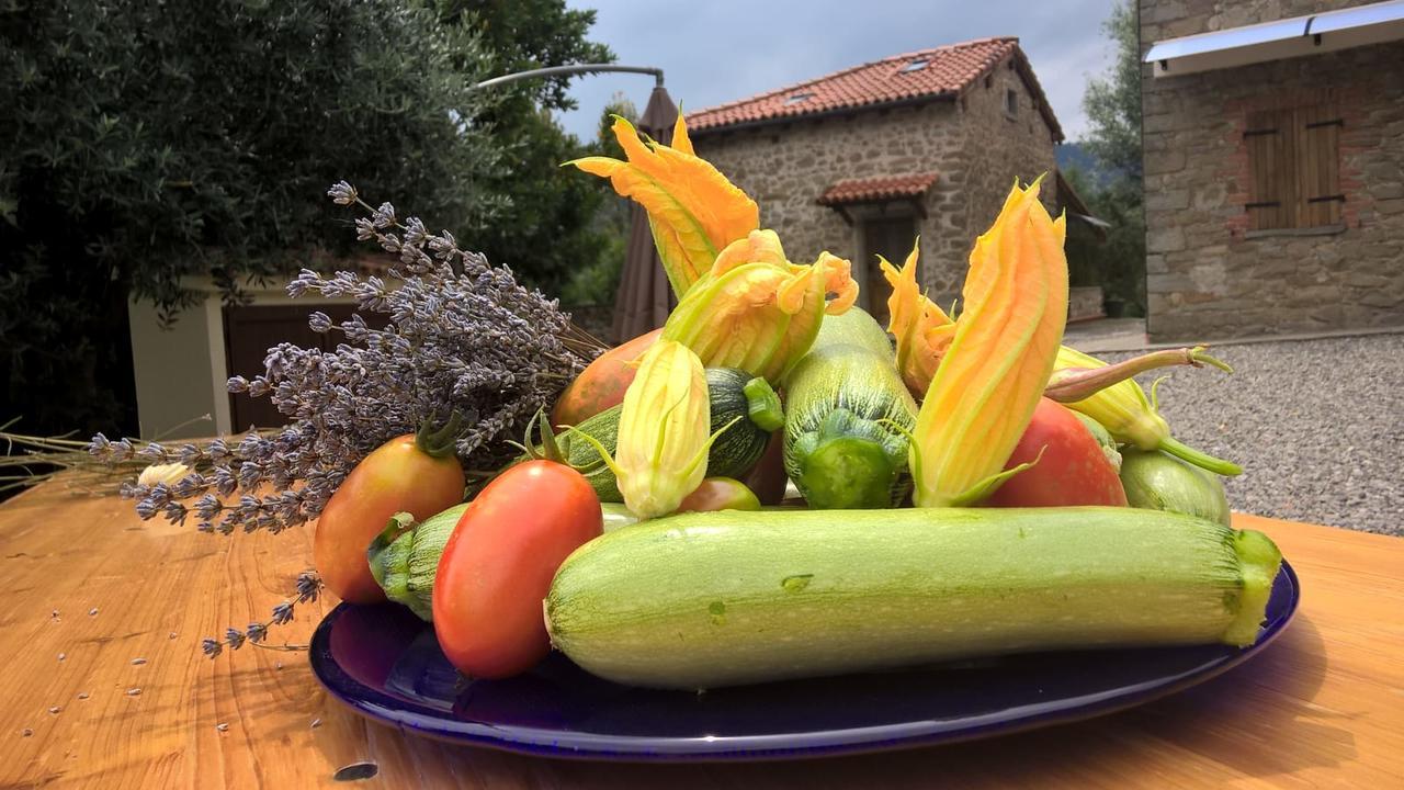 Agripodere Il Falco Pontremoli Extérieur photo